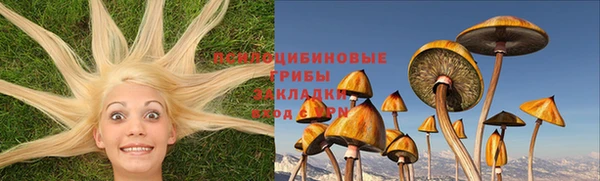 героин Абаза
