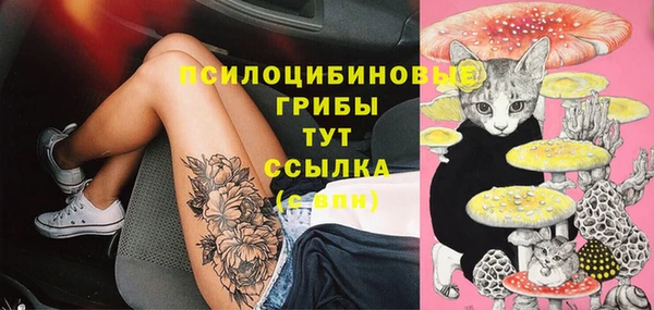мескалин Приозерск