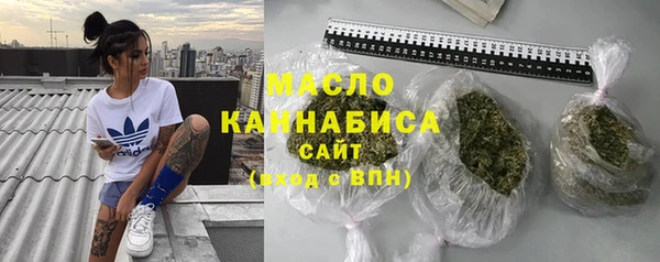индика Ростов
