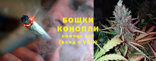 спайс Пролетарск