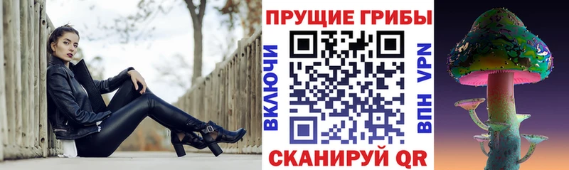 Галлюциногенные грибы GOLDEN TEACHER  Вилючинск 